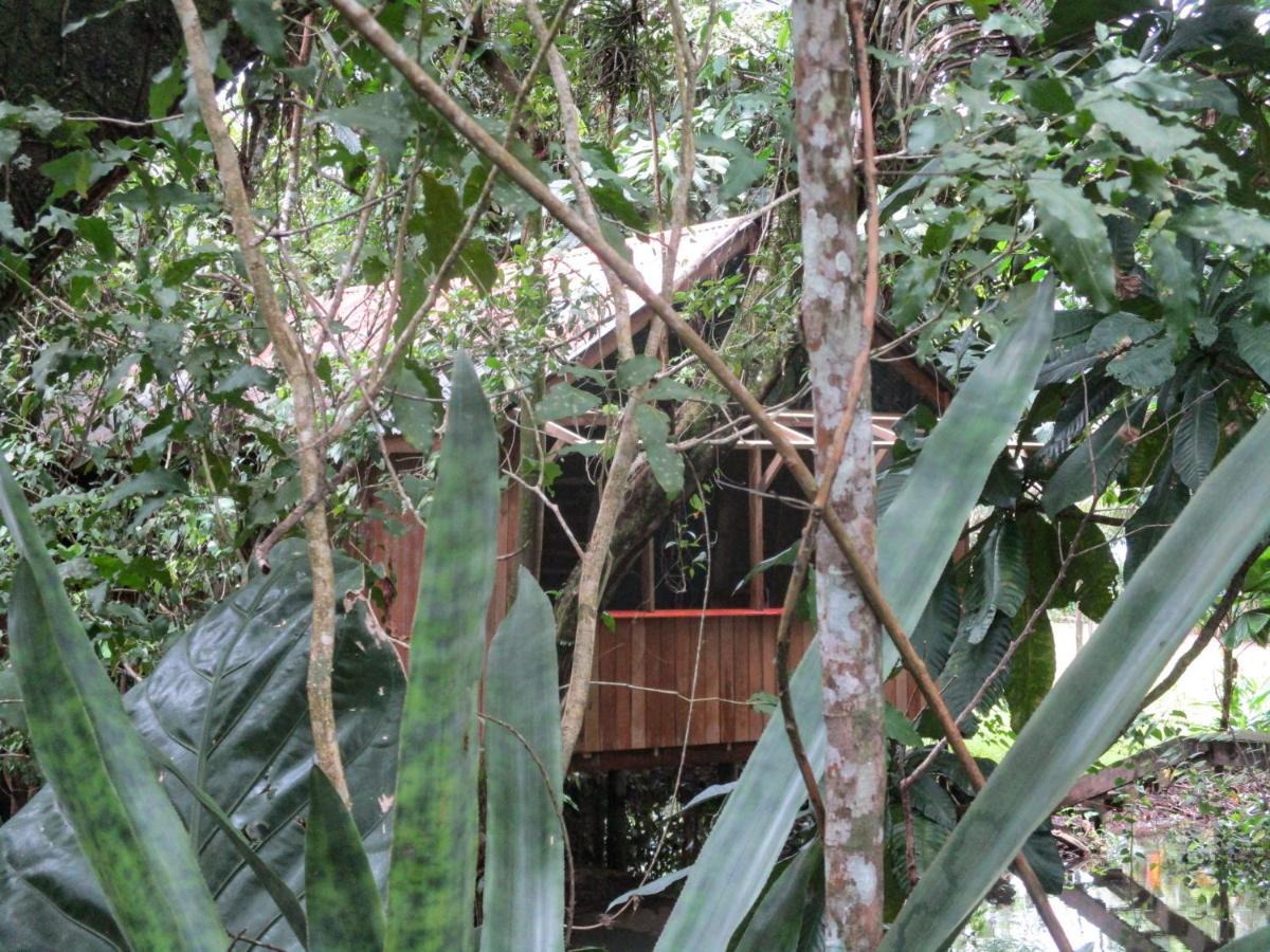 Hotel Kangaroo Y Restaurante Rio Dulce By Eksteriør billede