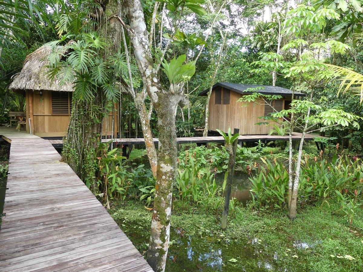 Hotel Kangaroo Y Restaurante Rio Dulce By Eksteriør billede