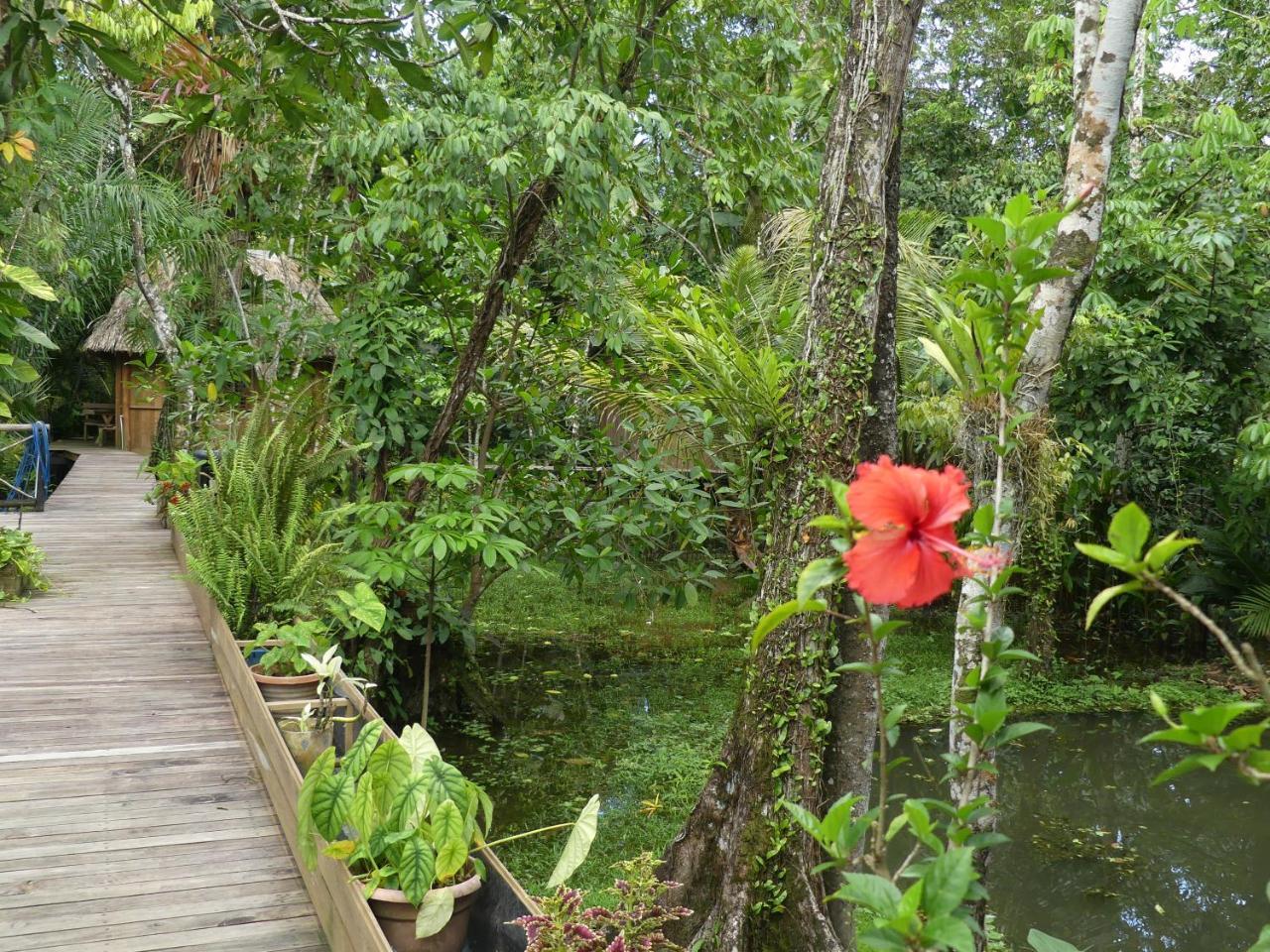 Hotel Kangaroo Y Restaurante Rio Dulce By Eksteriør billede