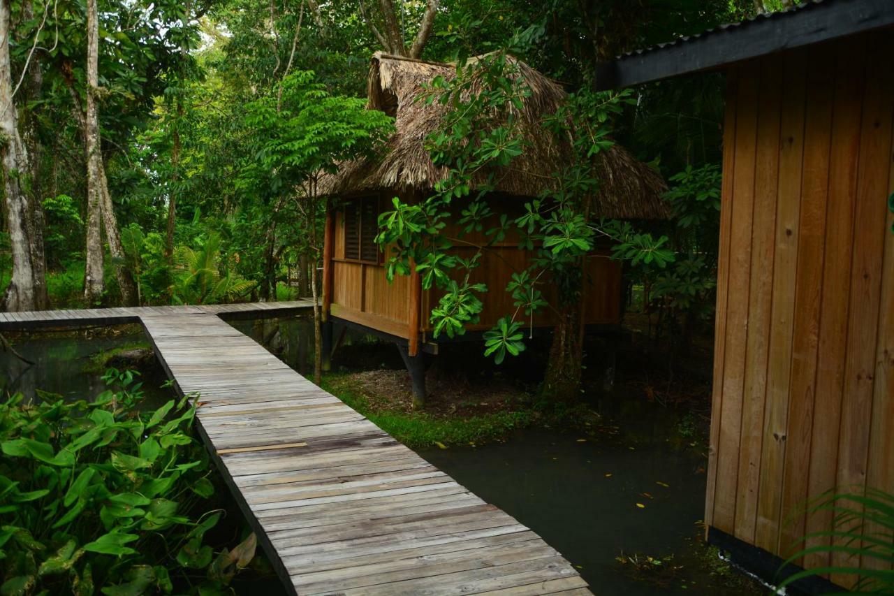 Hotel Kangaroo Y Restaurante Rio Dulce By Eksteriør billede