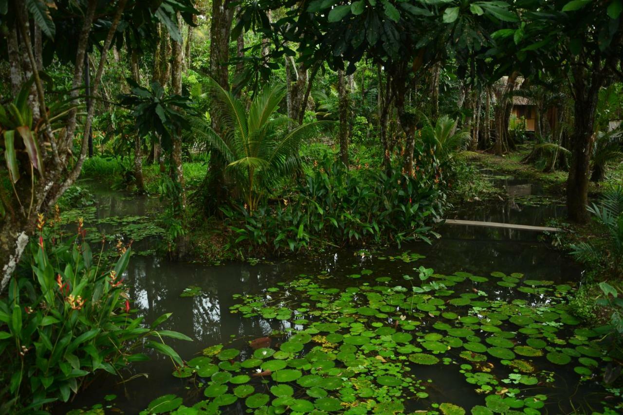 Hotel Kangaroo Y Restaurante Rio Dulce By Eksteriør billede