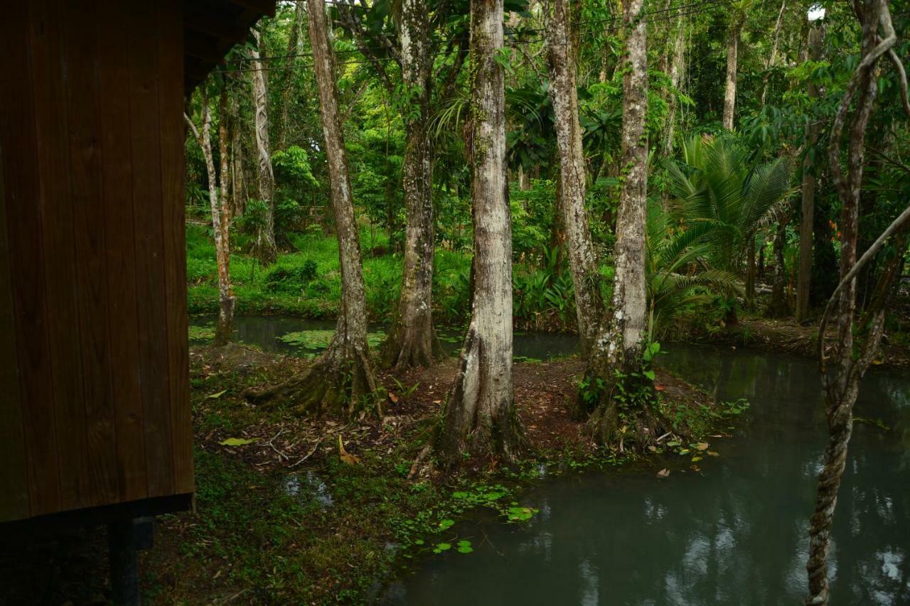 Hotel Kangaroo Y Restaurante Rio Dulce By Eksteriør billede